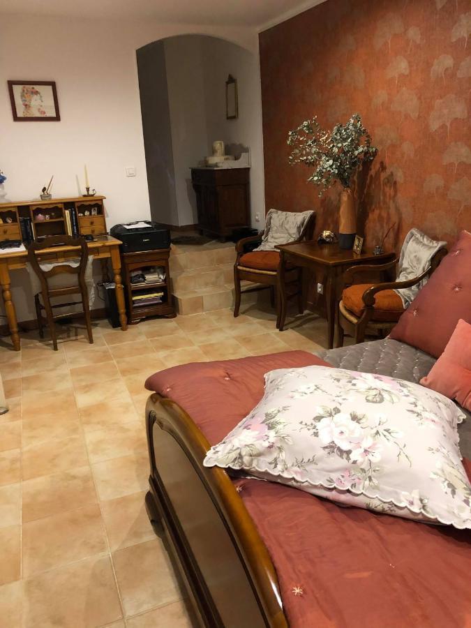 Coquet T2 Au Coeur Du Village 萨尔泰纳 外观 照片